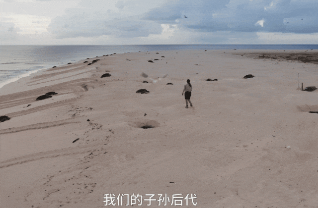 640?wx_fmt=gif 图片