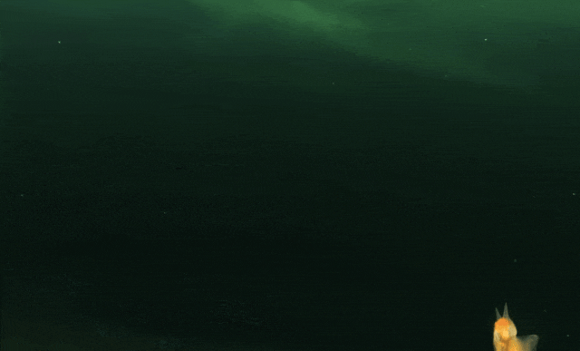640?wx_fmt=gif 图片