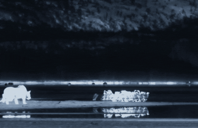 640?wx_fmt=gif 图片