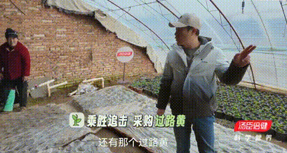 640?wx_fmt=gif&from=appmsg 图片
