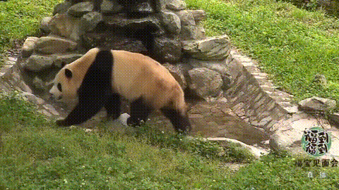 640?wx_fmt=gif&from=appmsg 图片