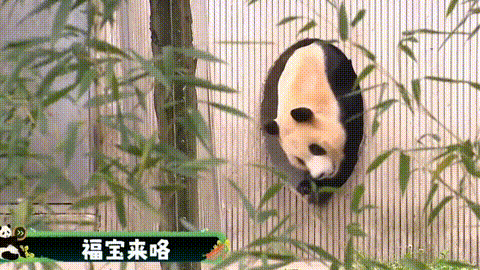 640?wx_fmt=gif&from=appmsg 图片